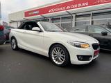 BMW 228i Cabrio//Autom//Kamera//Memory// - weiße BMW 2er Reihe