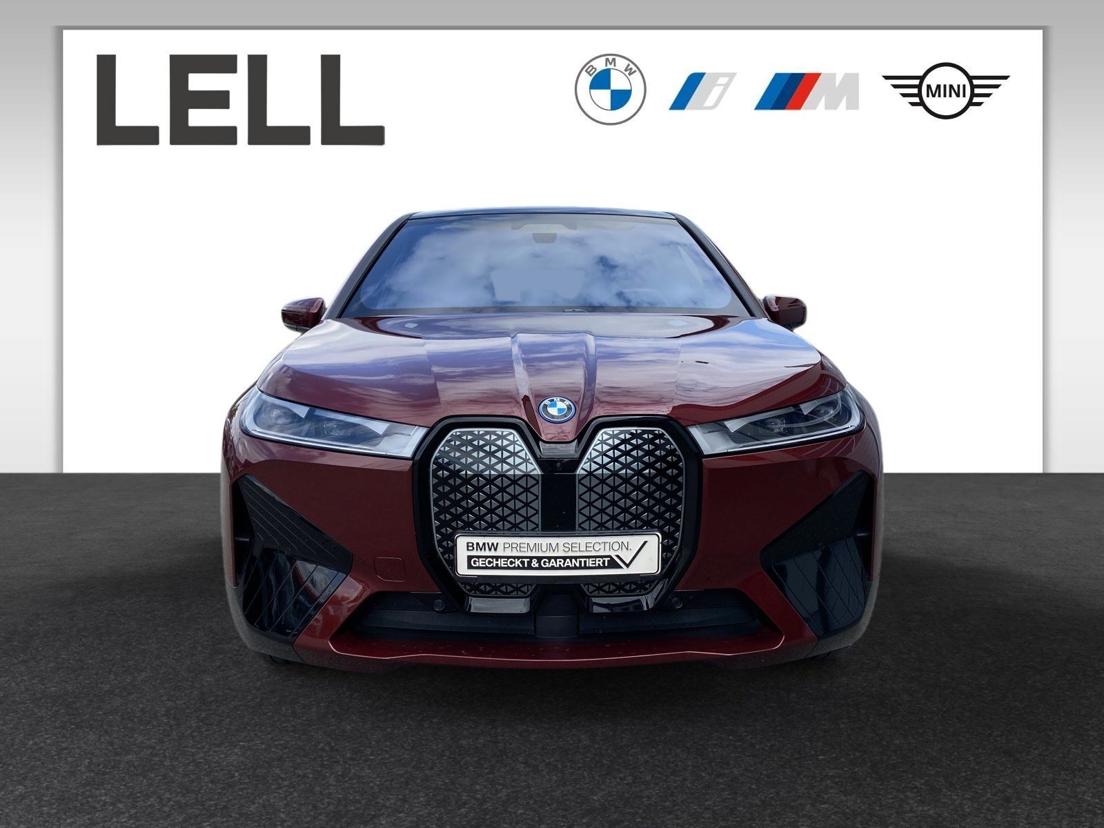 BMW iX xDrive50 Sportpaket Panorama RFK AHK SkyLoung imagem 3