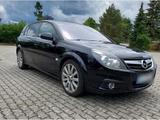 Opel Signum 1,9 CDTI Automatik sehr sparsa... - Opel Signum: 1.9