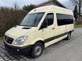 Mercedes-Benz Sprinter II Kombi 311 / 315 CDI - Mercedes-Benz Sprinter mit Diesel-Antrieb: Braun