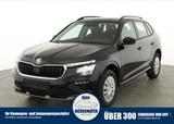Skoda Kamiq 1.5 TSI DSG Selection, AHK, Kamera, Winter