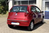 Fiat Punto 1.2 8V DYNAMIC KLIMAAUTOMATIK  1. HAND - Fiat Punto: Rot