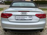 Audi A5 CABRIO S LINE SZH LEDER 6-GANG NAVI XENON - Audi A5 aus 2010: Line