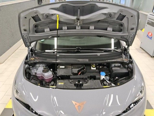 Cupra Born - Bild 13