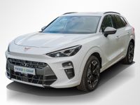 Cupra Terramar - Vorschau Bild 13