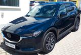 Mazda CX-5 Sports-Line AWD*Navi,Kamera,Automatik,SHZ* - Mazda CX-5 in Chemnitz