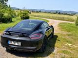Porsche Cayman 981 GTS | PDK | Approved - Porsche Cayman GTS