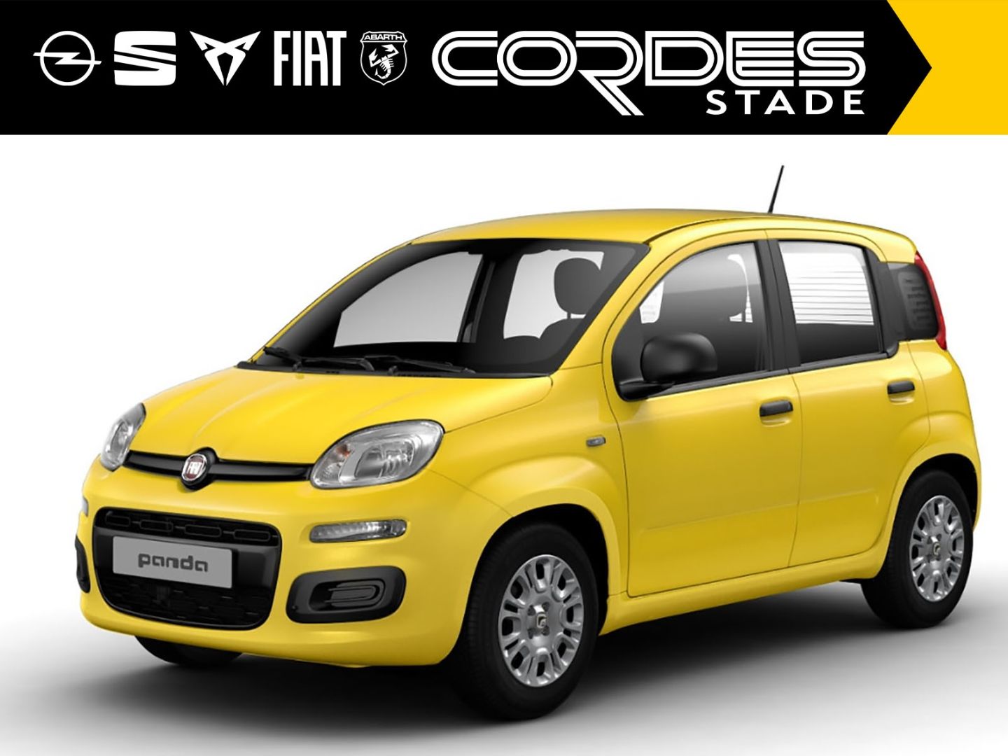 Fiat Panda - Bild 2