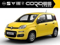 Fiat Panda - Vorschau Bild 2