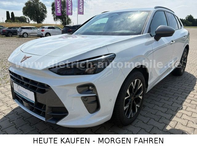 Image of Cupra Terramar