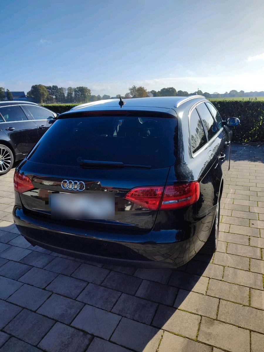 Audi A4 2011 — вигляд ззаду