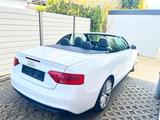 Audi A5 2.0 TDI 190 PS Cabrio S-Line Facelift - gebrauchte Audi A5 mit Facelift