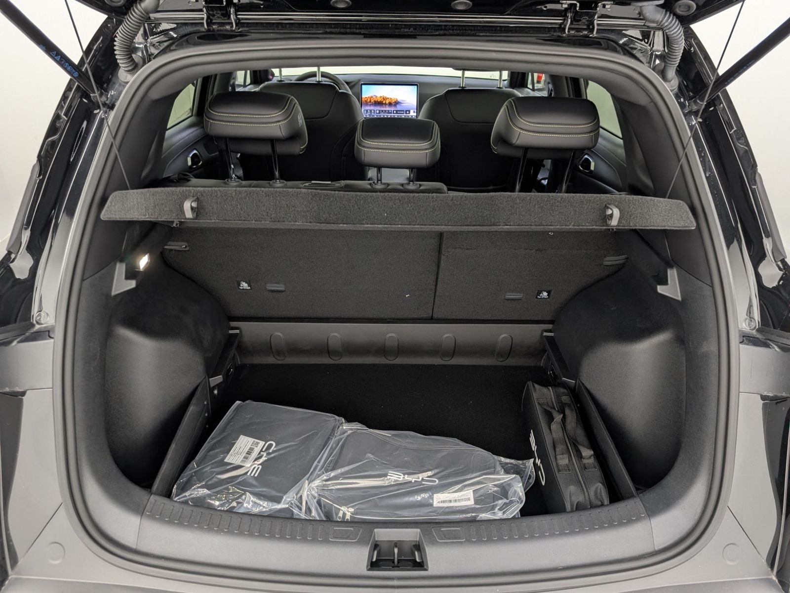 BYD ATTO 2 Comfort Navi LED Sitzheizung – Bild 10