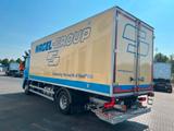 DAF XD 370 FA, Thermo King, ATP, SOFORT LIEFERBAR - Tier-/Pferdetransportwagen