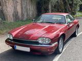 Jaguar XJS - Jaguar XJS Gebrauchtwagen