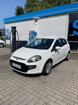 Fiat Punto 1.2 Benziner Mit TÜV - Fiat Punto in Essen