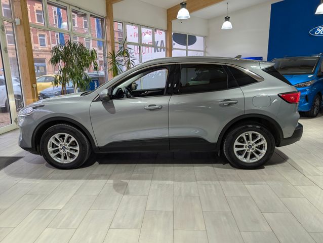 Ford Kuga 1.5 EcoBlue Titanium X Automatik
