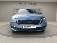 Skoda Octavia - Vorschau Bild 3