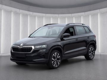 Skoda Karoq - 2