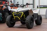 CFMOTO Cforce EV 110, Kinderquad, sofort lieferbar - CFMOTO CFORCE 110
