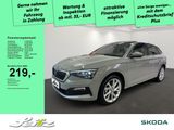 Skoda Scala 1.0 TSI Tour *AHK*PANO*LED*KAMERA*