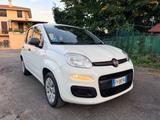 Fiat Panda 1.2 Fire Carplay Neopatentati IVA ESP - Fiat Panda: Fire