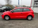 Volkswagen Polo V Trendline erst.66.000 Km ! - Volkswagen Polo: V Trendline