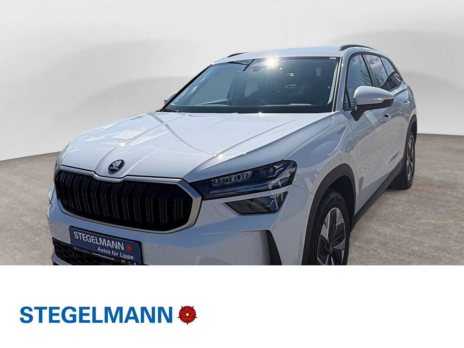Skoda Kodiaq - Bild 1