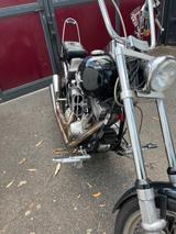Harley-Davidson FXST Softtail für Liebhaber - MOTORRAD AUS DEM JAHR 1989