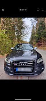 Audi SQ5 3.0 TDI tiptronic quattro - - Audi SQ5 in Mannheim