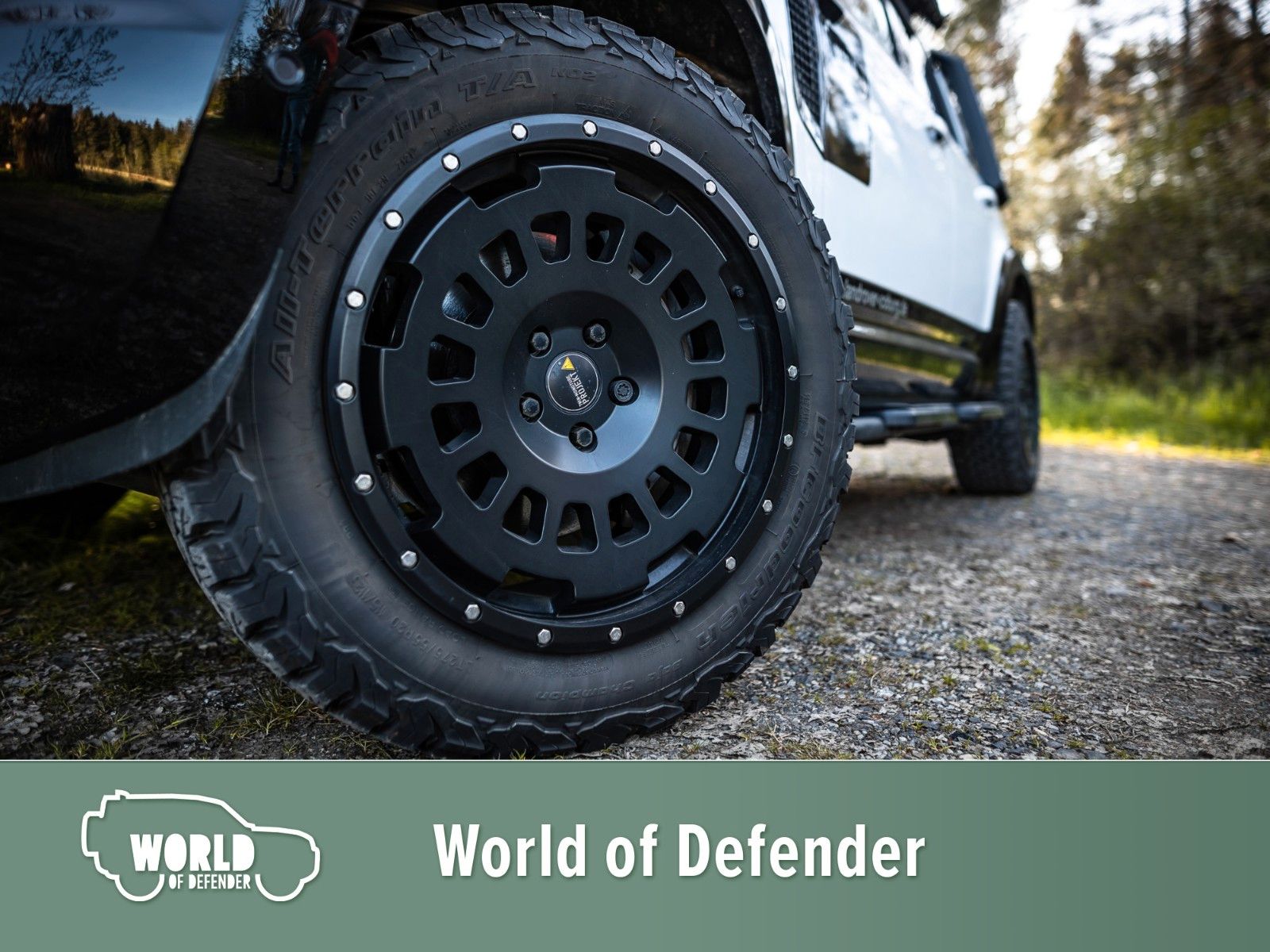 Fahrzeugabbildung Land Rover Defender 110 D250 X-Dynamic SE Rough Edition