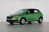 Skoda FABIA COOL PLUS 1.0MPI -GÜNSTIGER KLEINWAGEN- - Skoda Fabia: Grün