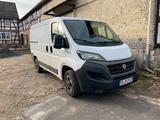 Fiat Ducato - gebrauchte Fiat Ducato aus dem Jahr 2021