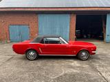 Ford Mustang Cabrio 1965 V8 Liebhaber H-Kennz TÜV NEU - Ford Oldtimer mit Benzin-Antrieb: Cabrio