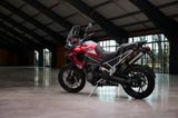 Triumph TIGER 1200 GT PRO   NEW!!  MY2025 - TRIUMPH 1200 TIGER PRO GT