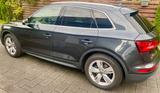 Audi Q5 2.0 TDI 140kW S tronic quattro - Vollaustatt. - Audi Q5 Gebrauchtwagen in Hamburg