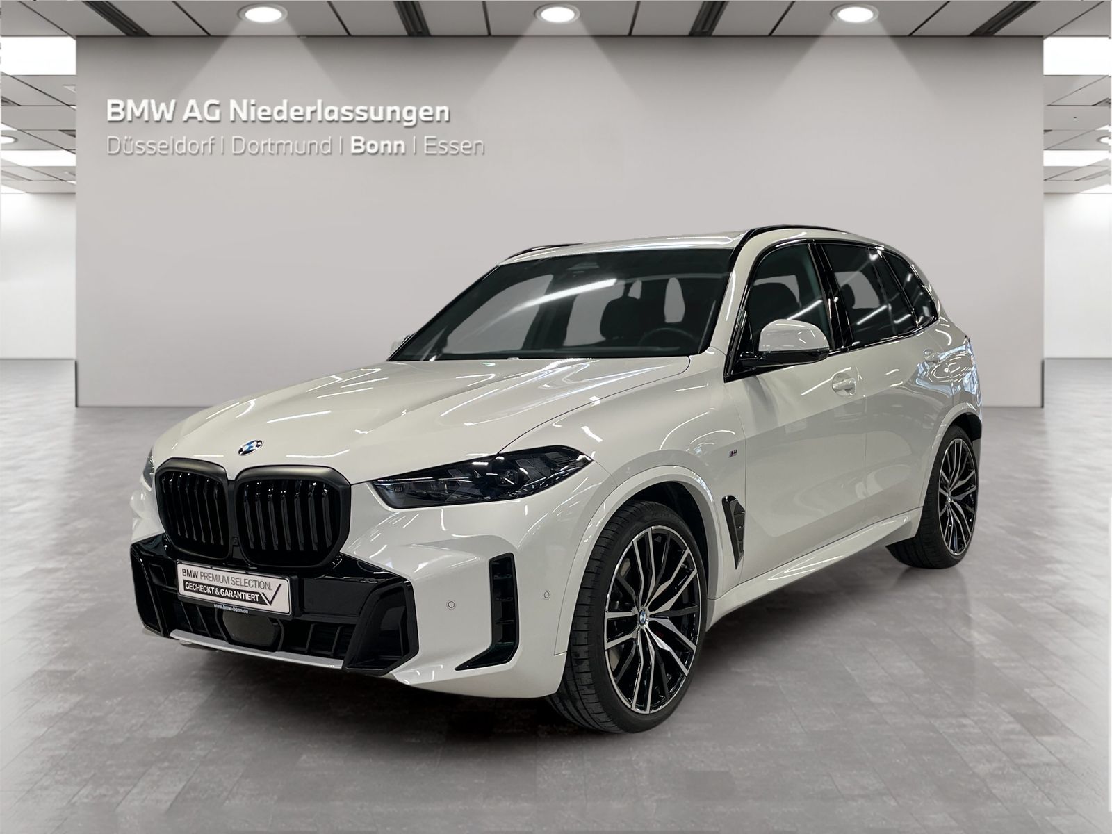 BMW X5 - Bild 1
