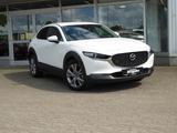 Mazda CX-30 G150 Selection Klimaaut./ Navi/ Alus 18" - Mazda CX-30 in Wuppertal