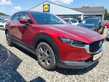 Mazda CX-30 Selection 2WD.LEDER.BOSE.NAVI.1-HAND.LED. - Mazda CX-30 Gebrauchtwagen