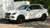 Mercedes-Benz Mercedes Benz ML 350 4MATIC - 7G-TRONIC PL... - Mercedes ml gebraucht