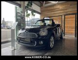 MINI Cooper Cabrio Highgate   LEDER+XENON+PDC+SHZ+NSW - MINI Cooper Cabrio aus 2016