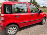 Fiat Panda - Fiat Panda: Rot