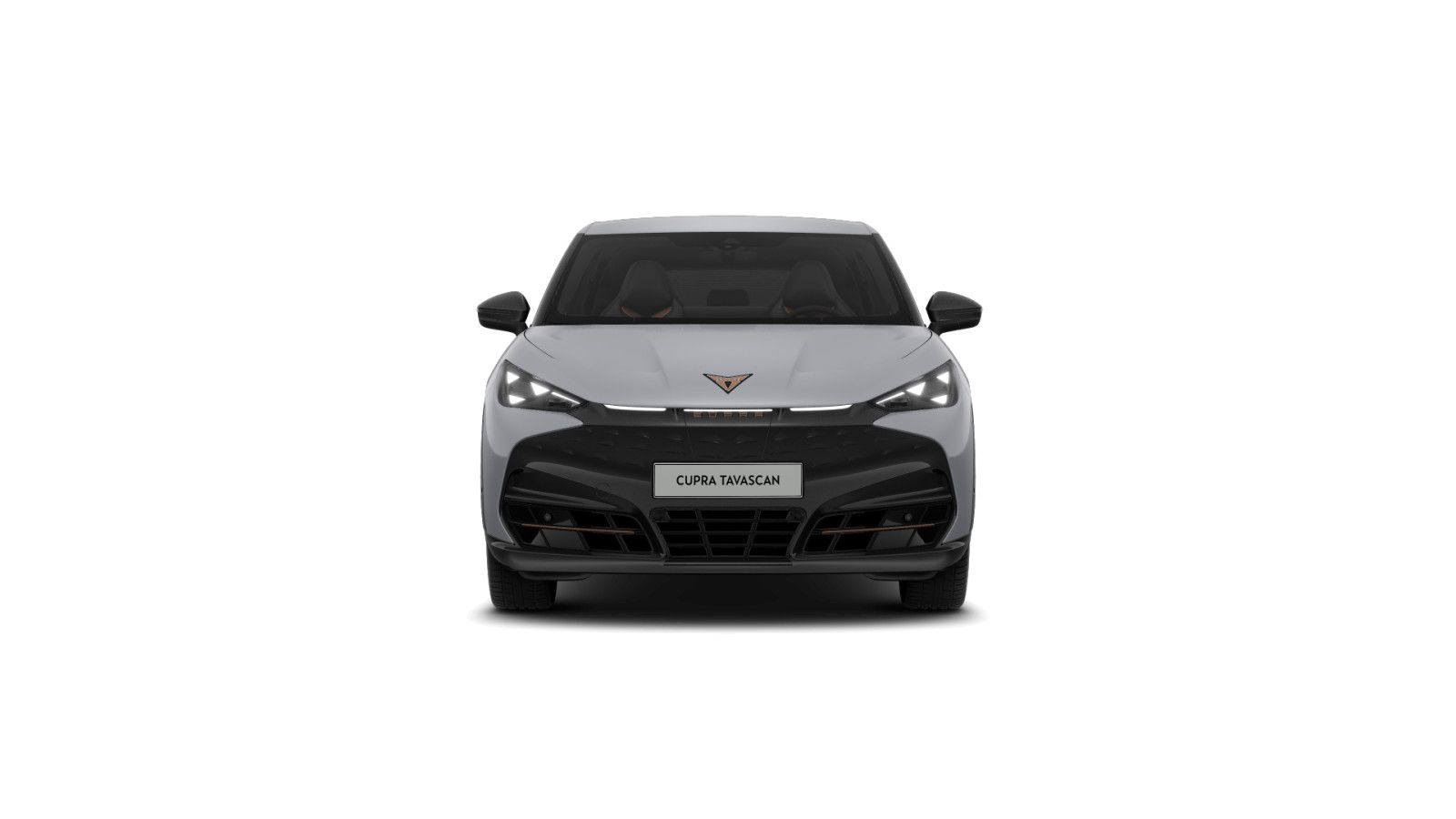 Cupra Tavascan - Bild 2