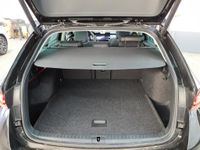 Skoda Octavia - Vorschau Bild 7