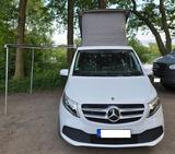 Mercedes-Benz V250d MP +ALLRAD+HORIZON+NAVI+DIST - Mercedes-Benz: Mp