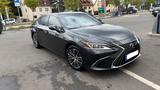 Lexus ES 300 300h Luxury Line Automatik Luxury Line - Lexus ES-Serie: Limousine