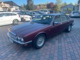 Jaguar XJ40 3,2 H-Zulassung Tüv neu - Jaguar XJ40 Gebrauchtwagen