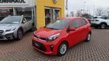 Kia Picanto Dream Team Edition 1.01.0 Sitzheizung vo - Kia Picanto in Erfurt
