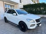 Mercedes-Benz MERCEDES-BENZ ML 250 BlueTEC 4Matic - weiße Mercedes-Benz ML 250