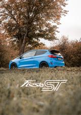 Ford Fiesta 1,5 EcoBoost ST Edition ST Edition - Ford Fiesta: ST Edition